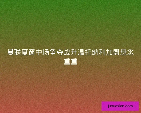 曼联夏窗中场争夺战升温托纳利加盟悬念重重